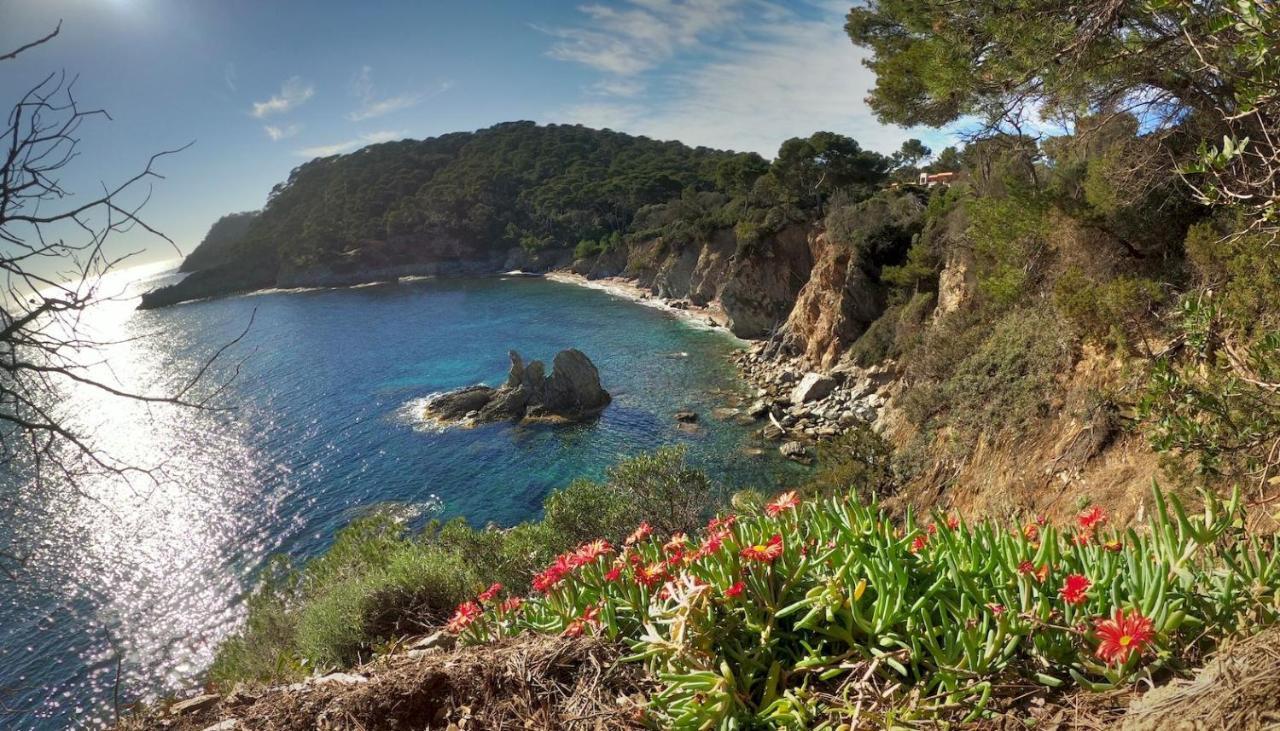 Studio Proche Port Et Plages, Piscine Hyeres Luaran gambar